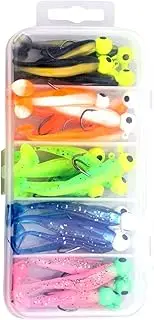 Soft Baits for Bass Fishing | 25X Colored Silicone Freshwater Fishing Lure Assortment - Fish Catching Lead Hooks Attractants Kit with Box for Sturgeon, Trout