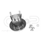 GSP Wheel Hub Assembly - 400058K