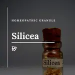 順勢糖球【SILICEA 矽 SILICA 】HOMEOPATHIC GRANULE 9克 食在自在心空間