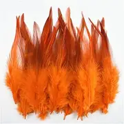 50 Pcs/Lot Pheasant Feathers for Crafts Fly Tying Materials Catcher Cock Chicken Decoration Handicraft Accessories Orange 1