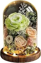 Eternal Flowers Preserved Rose in Glass Dome Cover Artificial Flower with Light Valentine's Day Christmas Women Gift Box(Green)