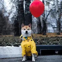 在飛比找蝦皮商城精選優惠-狗狗衣服 ins爆款潮牌防風防雨英倫復古加厚狗狗雨衣 狗狗寵