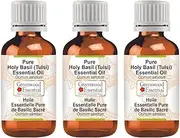 Greenwood Essential Pure Holy Basil (Tulsi) Essential Oil (Ocimum sanctum) Steam Distilled for Personal Care (Pack of Three) 100ml X 3 (10oz)