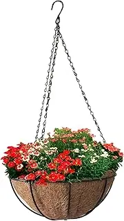 Mtxorvix Outdoor Baskets for Plants, Wrought Iron Hanging Basket, 8/12 Inch Flower Basket for Hanging with Insert, Flower Pot Plant Holder, Round Plant Holder for Wall, Window (12 Inch)