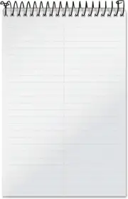 ✨ TOPS Docket Gold Steno Book, 6" x 9", Gregg Rule, Clear Poly Cover, 100 Sheets