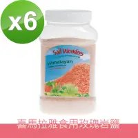 在飛比找momo購物網優惠-【美國Salt Wonders】喜馬拉雅玫瑰食用岩鹽玫瑰鹽5