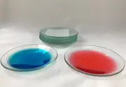 Watch Glasses Ø 100mm, Beaker Cover, Soda Lime Glass , pkt of 10 pcs