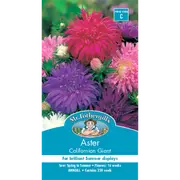 Mr Fothergill's Californian Giant Aster Flower Seeds