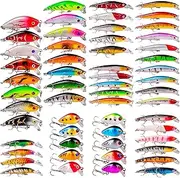 Labymos 56Pcs Fishing Lures Kit Soft Hard Fishing Lures Baits Set with Hooks Fishing Gear for Saltwater and Water Bass Trout Redfish