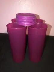 Tupperware 16oz Tumblers -4pc Set