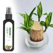 1-3PCS Brazilian Wood Plant Food, Lucky Bamboo Liquid Fertilize r G3S6