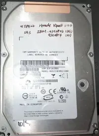 在飛比找Yahoo!奇摩拍賣優惠-良品IBM SAS硬碟300GB 15K 3.5吋硬碟41Y