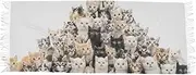 [AIXIWAWA] Women's Pashminas Scarf Many Cats Print, Shawls Wrap Lightwight with Tassel for Evening Dress Dinner Party, Multicolor