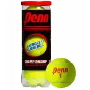 Head Penn Racquet Sports 270857 Championship Penn Tennis Balls Yellow - Pack...