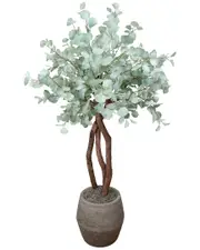 Creative Displays Silver Dollar Eucalyptus Tree in Stone Pot