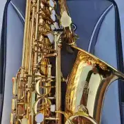 New JAS669 New Alto Eb Tune Saxophone Instrument Lacquered Gold Sax with Case