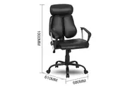 SHAWN Office Chair