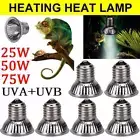 UVA+UVB 25W-75W Reptile Heat Basking Light Bulb Lamp For Tortoise Lizard 2025
