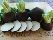 Radish, Black Spanish Round - Heirloom Vegetable by Life-Force Seeds Australia