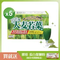 在飛比找ETMall東森購物網優惠-【日本ITOH】100%大麥若葉酵素青汁x5盒