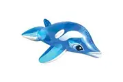 Inflatable Dolphin Ride - 1.3 Metre
