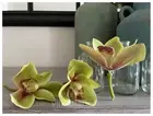 Cymbidium Orchids Short Stem PK 7 Artificial Flowers Green
