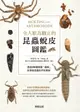 【電子書】令人歎為觀止的昆蟲蛻皮圖鑑：透過288種美麗「蟲蛻」來探索昆蟲世界的奧祕