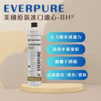 在飛比找ETMall東森購物網優惠-【EVERPURE】PENTAIR BH2 (1入) 濾心 