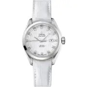 Omega Seamaster Aqua Terra Automatic 231.13.34.20.55.001 woman