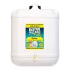 Enzyme Wizard Urine Stain & Odour Remover Tile/Grout Cleaner Indoor/Outdoor 20L