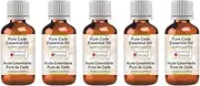 Greenwood Essential Pure Cade Essential Oil (Juniperus oxycedrus) Steam Distilled for Personal Care (Pack of Five) 100ml X 5 (16.9oz)