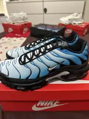 Size 11 - Nike Air Max Plus Neptune Blue