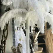 New Ostrich Feather Centrepiece - Wholesale Feathers & Craft Supplies
