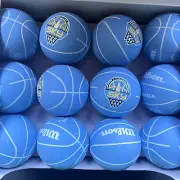 WILSON Chicago Sky 2" Mini Dribbler Basketball 24 pack