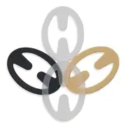 Racerback Bra Clip, Conceal Straps and Cleavage Control Bra Clips By Razor Clips