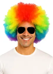 Coloured Rainbow Circus Afro Clown Wig