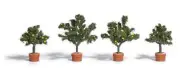 Citrus trees in planters (2 lemon trees, 2 orange trees) HO/TT Gauge Busch 6619