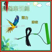 在飛比找蝦皮購物優惠-優惠鸚鵡飛行繩 鸚鵡放飛繩 鸚鵡外出繩 飛行繩 訓練繩 手養