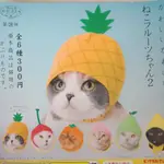 貓咪專屬頭巾 P8 水果篇2 扭蛋 轉蛋 貓咪頭巾  全套6款下標區