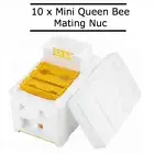 10 x Queen Bee Mating Nuc Hive Beekeeping Polystyrene Rearing Nuc inc Frames