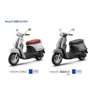 ⭐️KYMCO 光陽機車 MANY110 魅力110 2024年全新車✨請先確認顏色是否有庫存