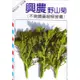 四季園 野山菊 【蔬果種子】興農牌 中包裝種子 每包約5公克 不需噴農藥