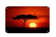 AFRICAN ACACIA TREE Sunset Nature Wall Art 8x12 Aluminum Metal Sign