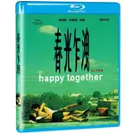 春光乍洩 (BD)(DVD) (勁藝)