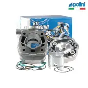 Cylinder P1090013 79 D.50 Gilera Rcr Derbi Gilera 50 Gsm 2001-2001