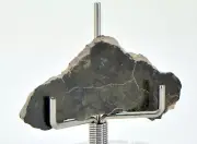 3.50g Eucrite Monomict Slice | HED NWA 8555 - TOP METEORITE