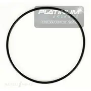 Platinum Water Pump O Ring - GG330