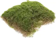 Simulated Moss Ornaments Fake Moss Faux Plant Micro Landscape Accessory Micro Landscape Prop Fake Grass Display Decorative Artificial Turf Artificial Grass Rug Green Plastic