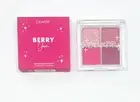 Colourpop BERRY JAM Eyeshadow Palette Quad Pink Matte Shimmer Authentic New