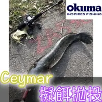 在飛比找蝦皮購物優惠-免運🔥 OKUMA Ceymar 凱莫斯 擬餌 拋投 捲線器